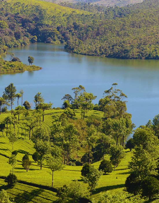 Thekkady - Kerala
