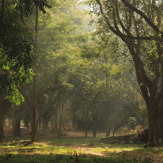Cubon Park Bengaluru