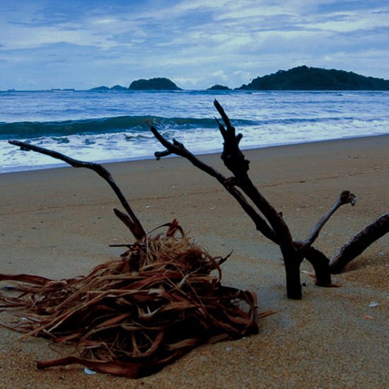 Devbagh Beach Karwar - Karnataka