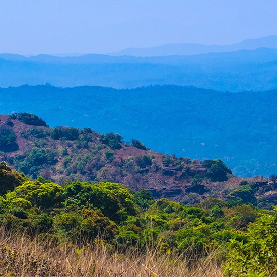 Kotebetta - Karnataka