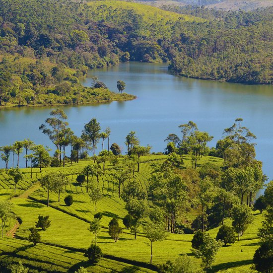 Thekkady - Kerala - India