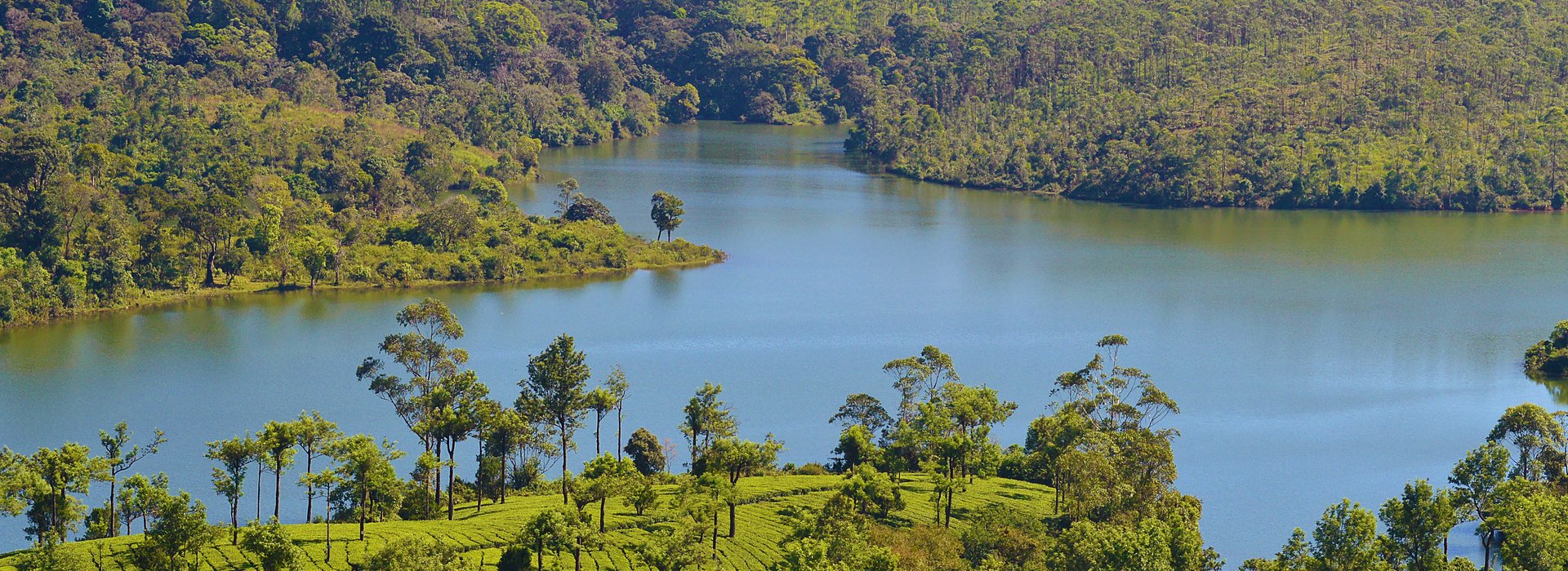 Thekkady - Kerala - India